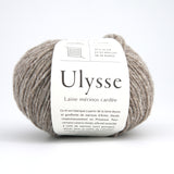 Ulysse - Poivre et Sel - 03