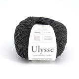 Ulysse - Fusain - 20