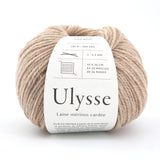 Ulysse - Biche - 45