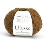 Ulysse - Darjeeling - 46